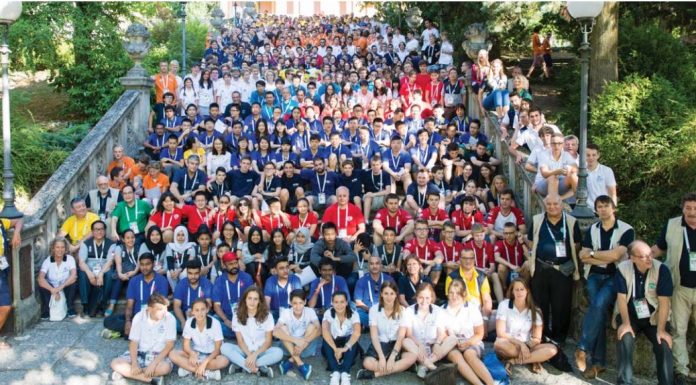 International Youth Bridge Survey – Last opportunity