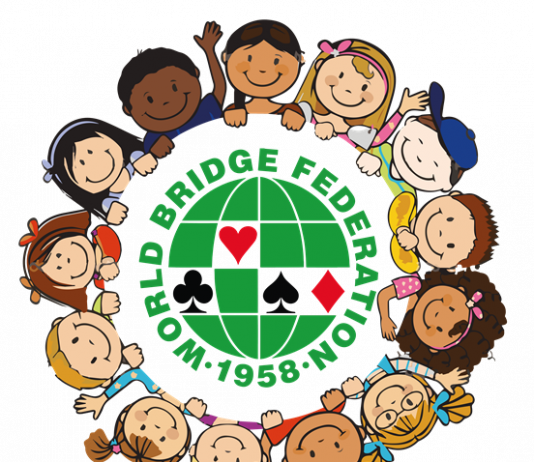 Youth Bridge Development