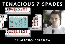 Tenacious 7 Spades by MATKO FERENCA