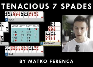 Tenacious 7 Spades by MATKO FERENCA