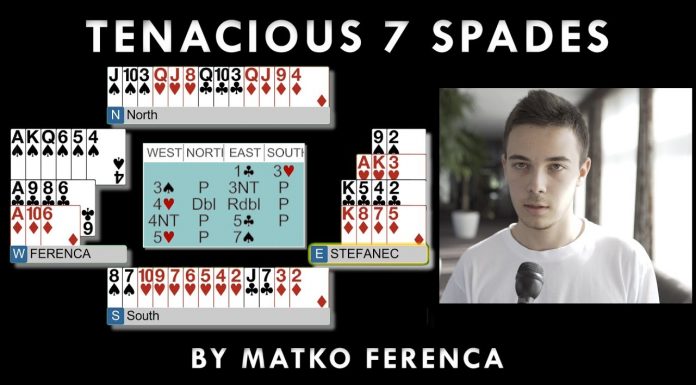 Tenacious 7 Spades by MATKO FERENCA