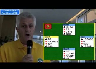 Plan, Count, Plan by David Stern (AUS)