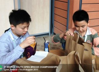 Bridge & Humor: The Hideous Hog