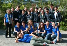 Stayman By Mark Ehret