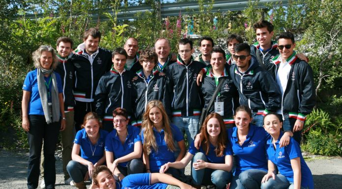 Stayman By Mark Ehret