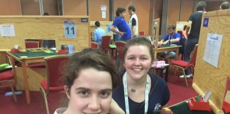 Bridge Tips — Playing