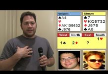 Seven Diamonds Redouble by Vincent Demuy