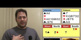 Seven Diamonds Redouble by Vincent Demuy