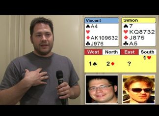 Seven Diamonds Redouble by Vincent Demuy