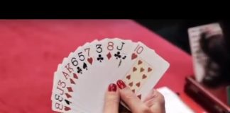 Animated Bridge with Andrew Robson