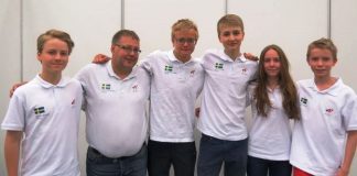 The Final Problem By Micke Melander