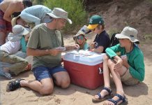 Bridge & Humor: Short Jokes