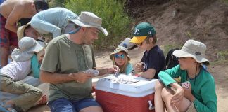 Bridge & Humor: Short Jokes