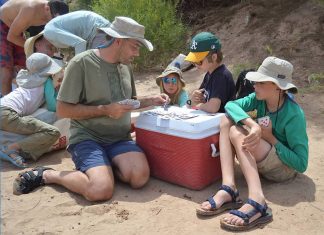 Bridge & Humor: Short Jokes