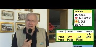 Master Solver with P.O. Sundelin