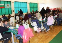 Would You Find the Winning Defense? by Marc Smith