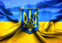 1st WBF Youth Teams Online Championships: U26 Ukraine Team