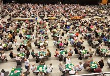 Thinking Bridge by Eddie Kantar