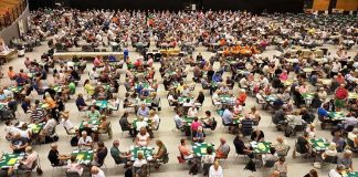 Thinking Bridge by Eddie Kantar