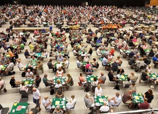 Thinking Bridge by Eddie Kantar