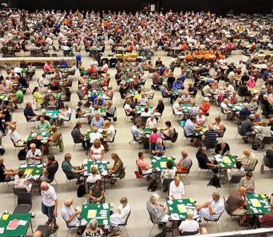 Thinking Bridge by Eddie Kantar