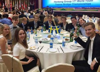 Through the Minefield by Paulo Brum (BRZ) Sweden delegation Wujiang 2018