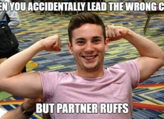 Try Bridge Memes in Facebook