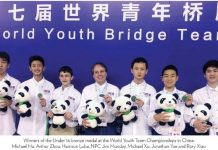 BBO: Playing the Hand in the Bidding by Joshua Donn