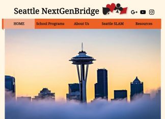 Seattle NextGenBridge