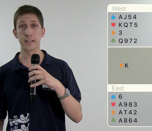 Solution to Riddle n.2 with Michael Byrne