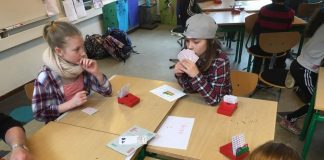 Denmark: Bridge in Schools