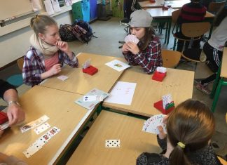 Denmark: Bridge in Schools