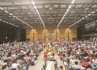 Swedish Bridge Festival 2019…Romania Youth