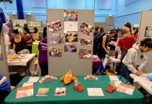 EBED: English Bridge Education & Development