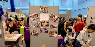 EBED: English Bridge Education & Development