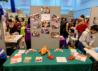 EBED: English Bridge Education & Development