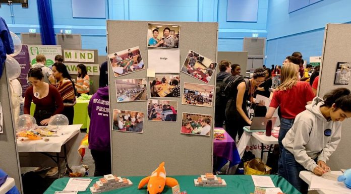 EBED: English Bridge Education & Development