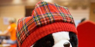 44th World Team Championships, RR Round 7: Norway vs Sweden