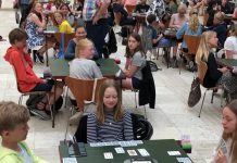 Danish Bridge at Schools