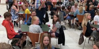 Danish Bridge at Schools