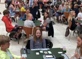 Danish Bridge at Schools