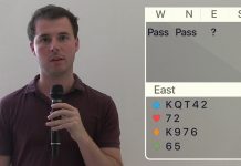 Solution to Riddle N° 28 with Guy Mendes de Leon