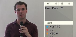 Solution to Riddle N° 28 with Guy Mendes de Leon