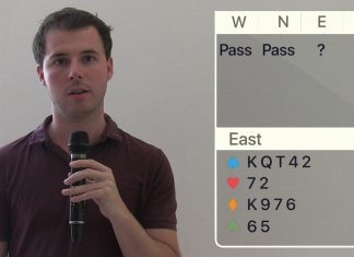 Solution to Riddle N° 28 with Guy Mendes de Leon