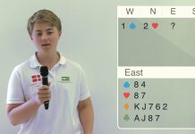 Solution to Riddle N° 29 by Christian Lahrmann