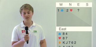 Solution to Riddle N° 29 by Christian Lahrmann