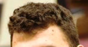 To BBO: Please Support Bridge on Twitch