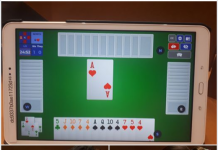 Poland Youth Played the International Budapest Bridge Festival By Marcin Kuflowski