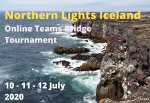The 6th Northern Lights Iceland – Teams is coming up (Free for U26)