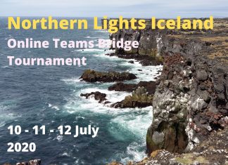 The 6th Northern Lights Iceland – Teams is coming up (Free for U26)